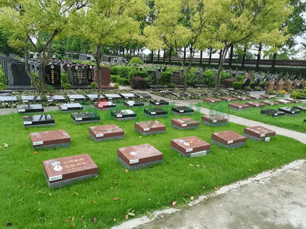 首页-人生就是博