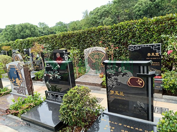 首页-人生就是博