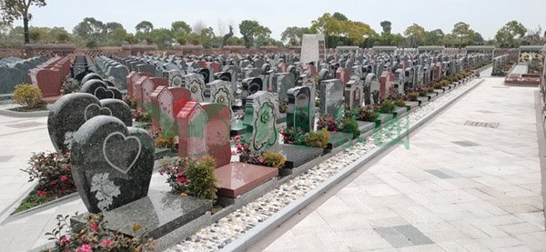 首页-人生就是博