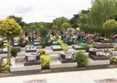 上；；懔靶腔鹎