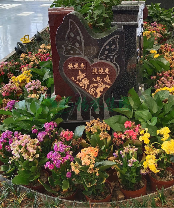 首页-人生就是博