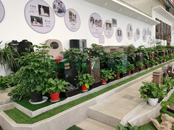 首页-人生就是博