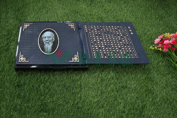 首页-人生就是博