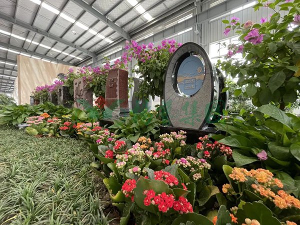 首页-人生就是博