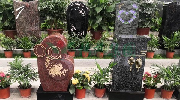 首页-人生就是博