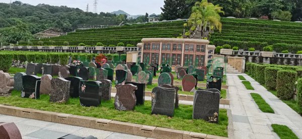 首页-人生就是博