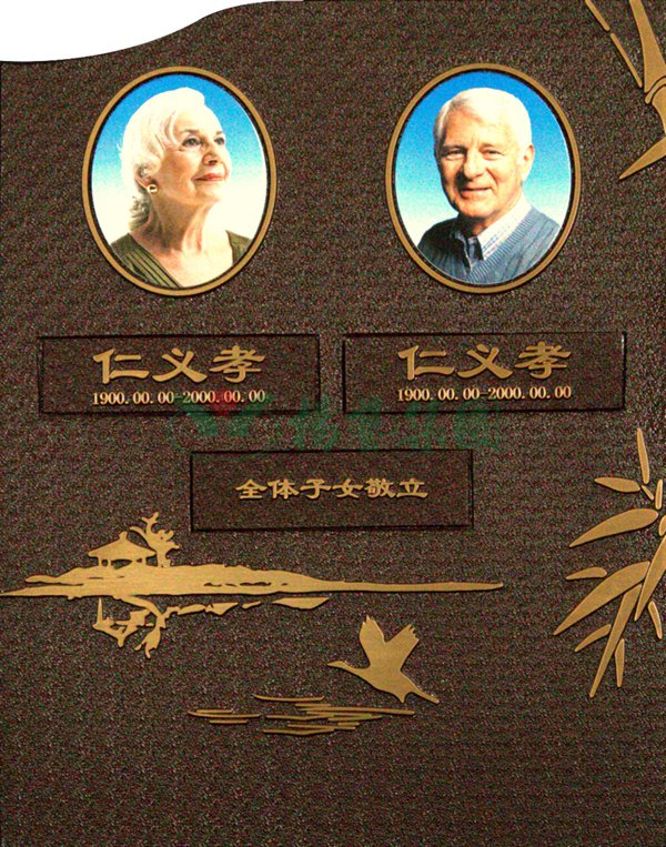 首页-人生就是博