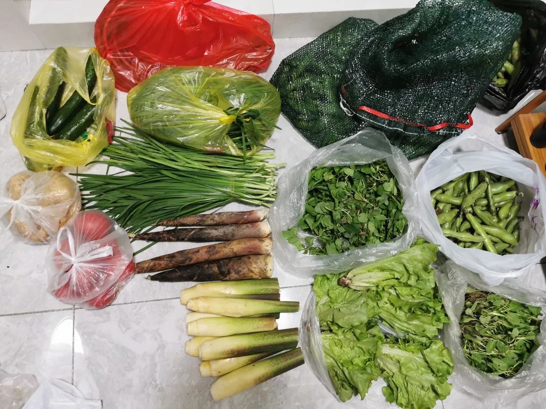 首页-人生就是博