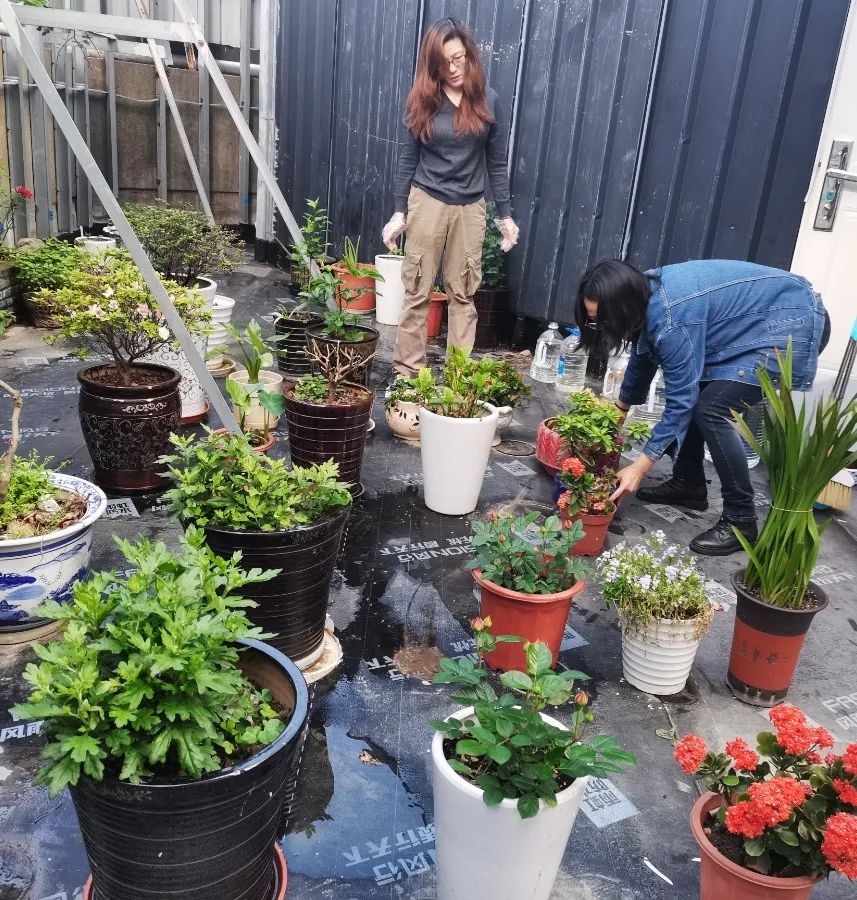 首页-人生就是博