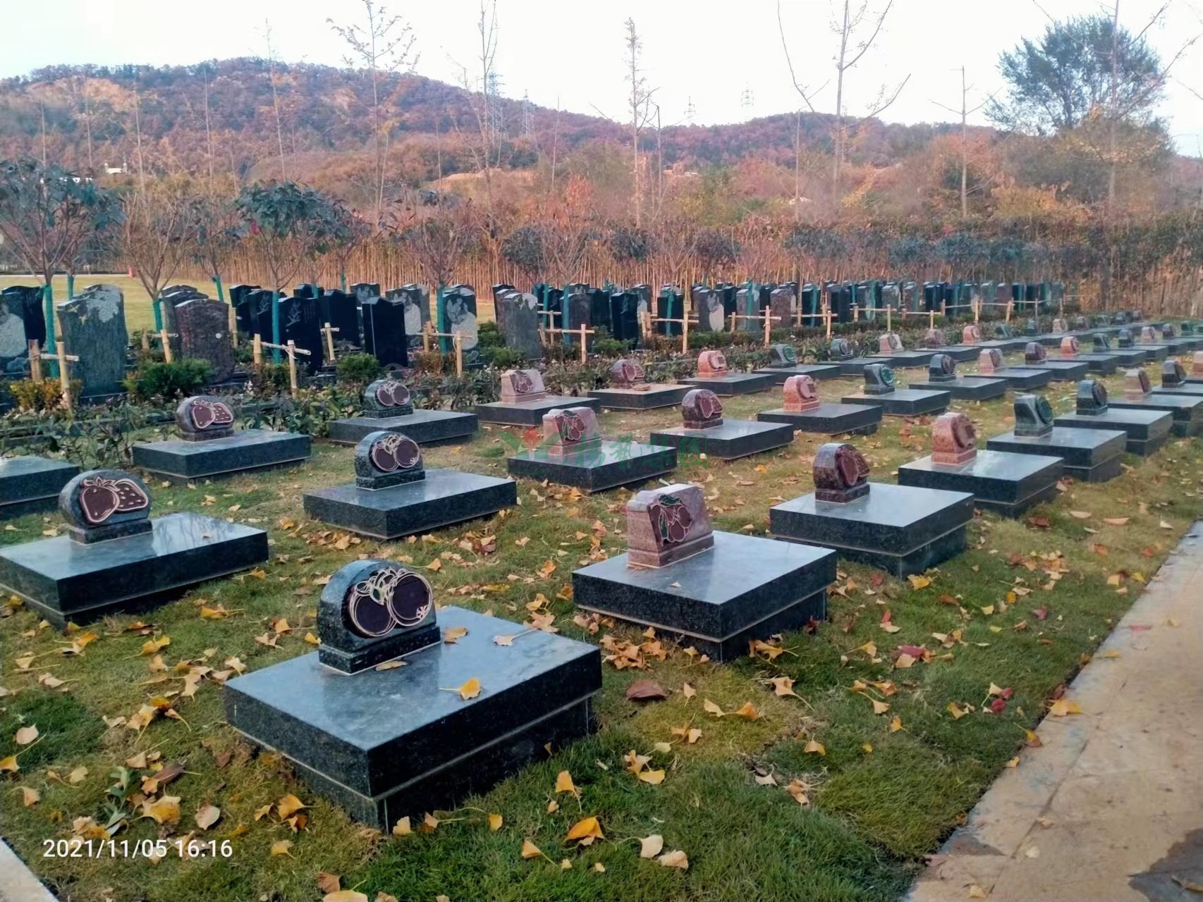 首页-人生就是博