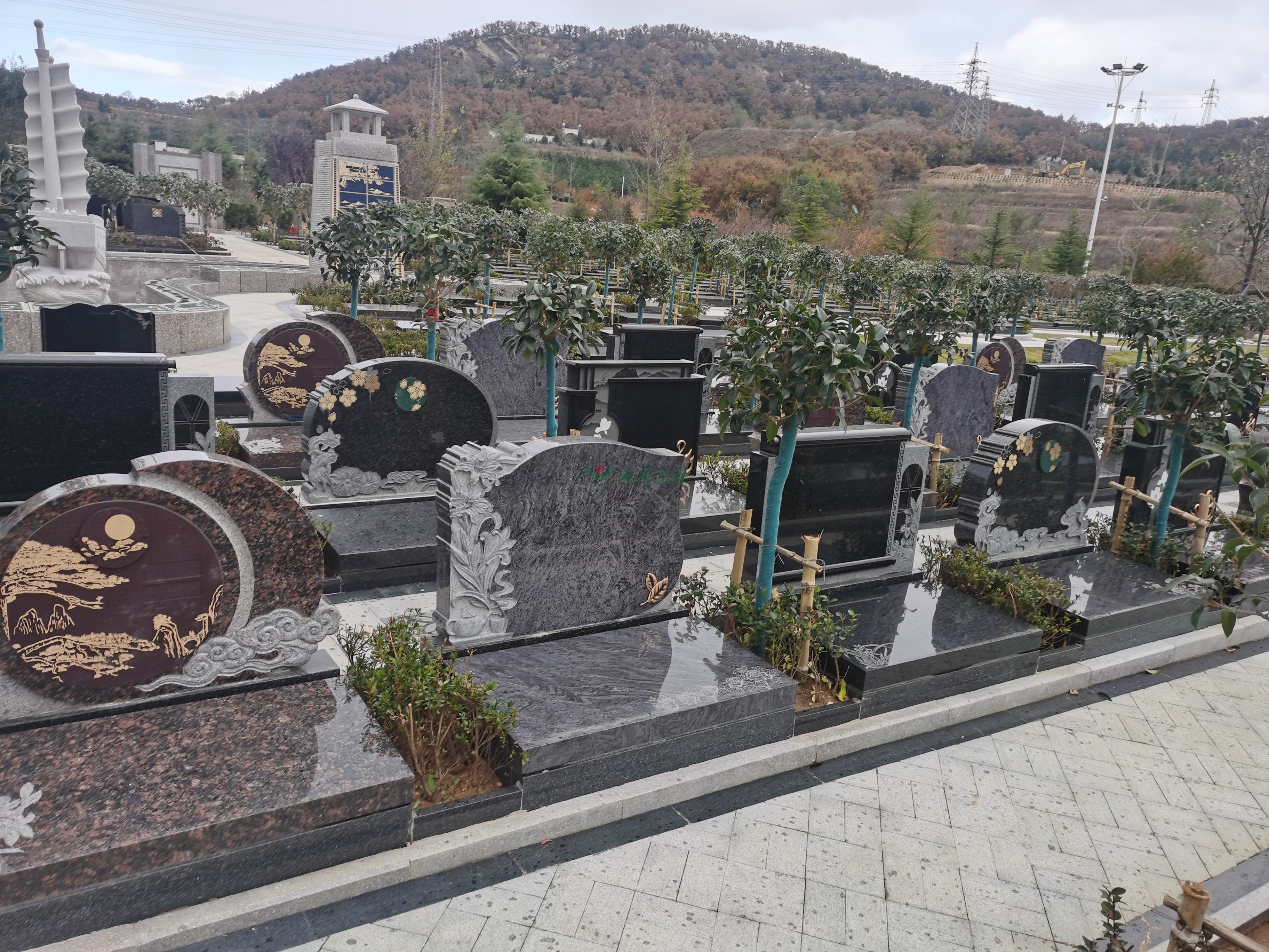 首页-人生就是博