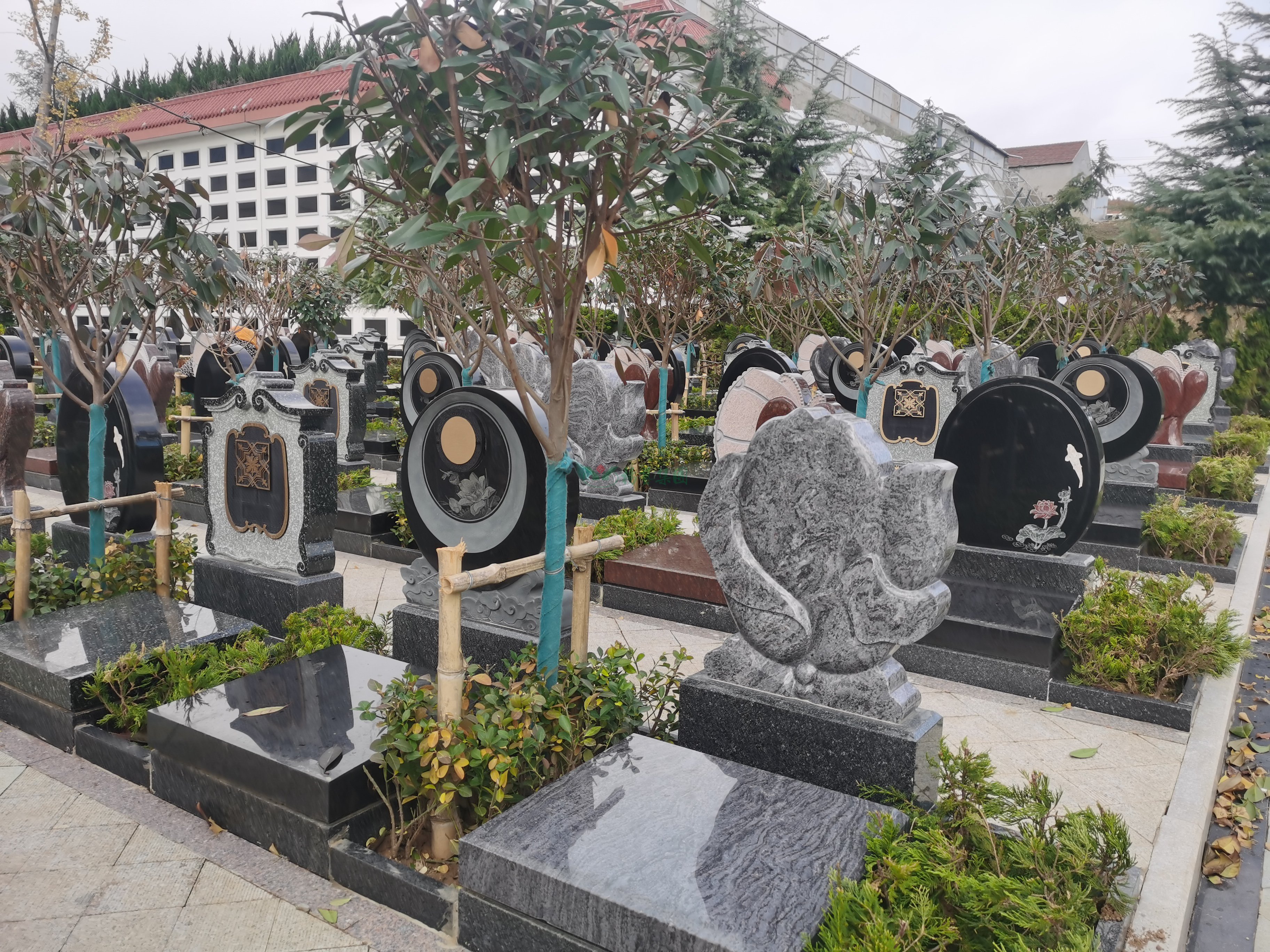 首页-人生就是博