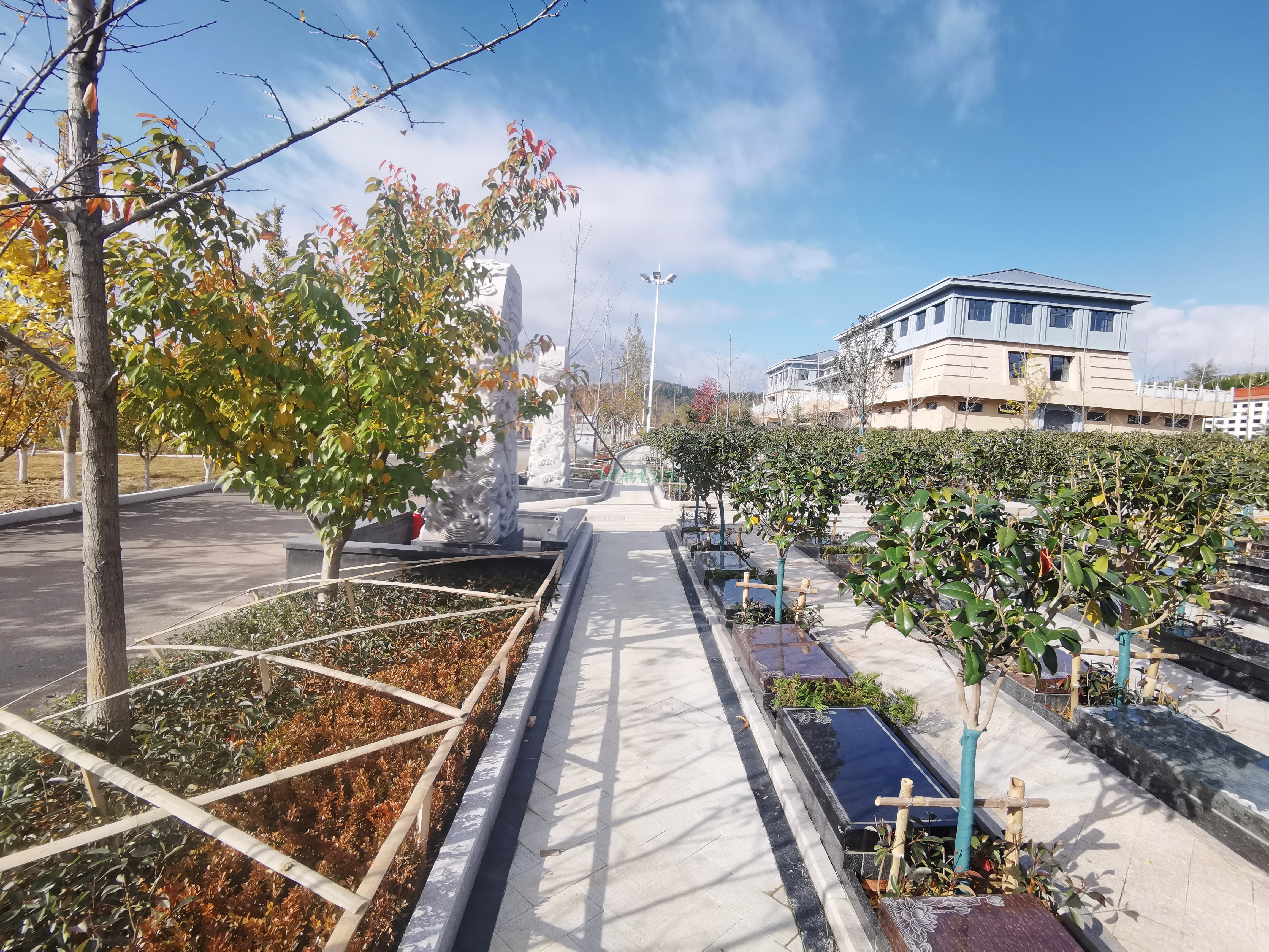 首页-人生就是博