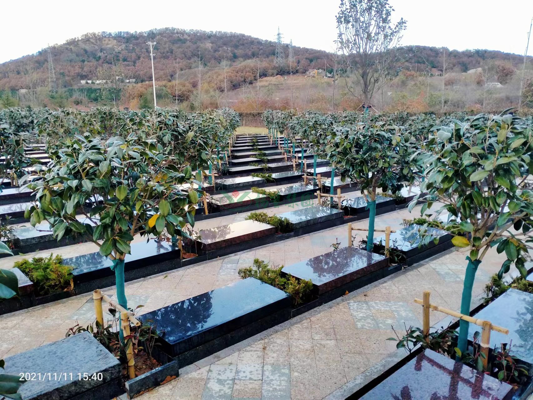 首页-人生就是博