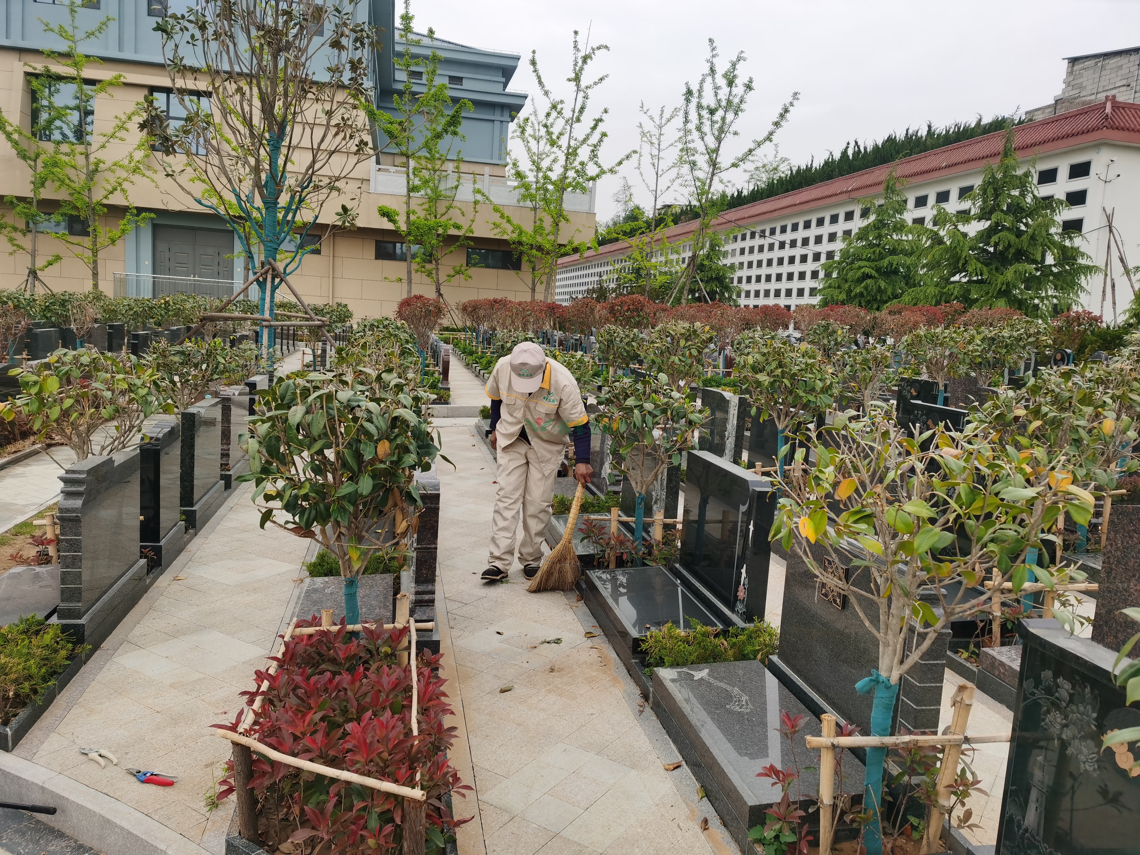 首页-人生就是博