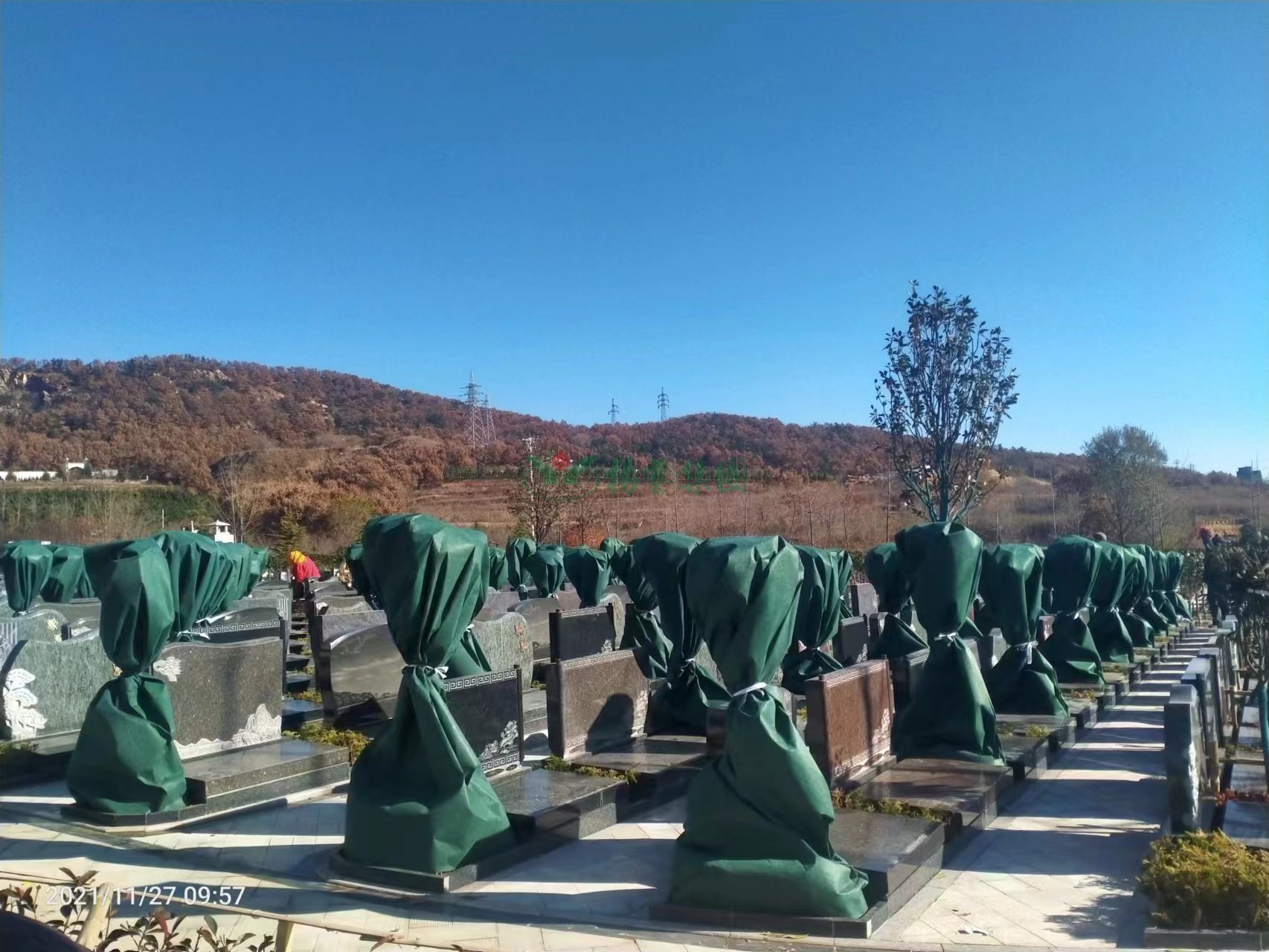 首页-人生就是博