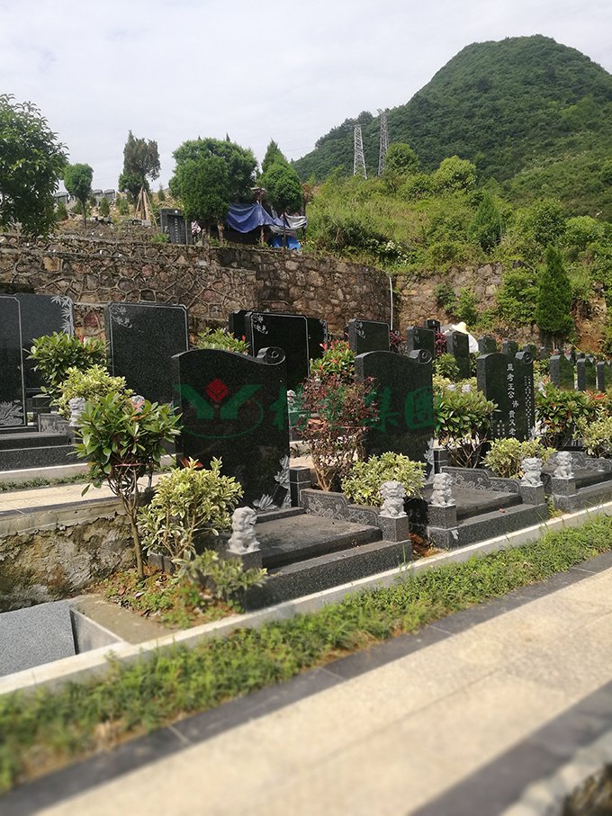 首页-人生就是博