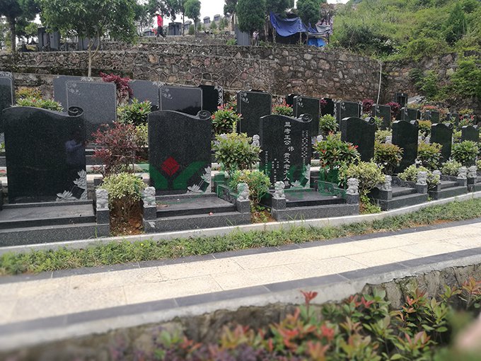 首页-人生就是博