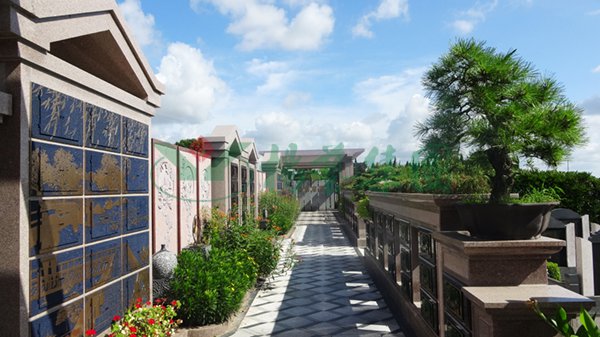 首页-人生就是博