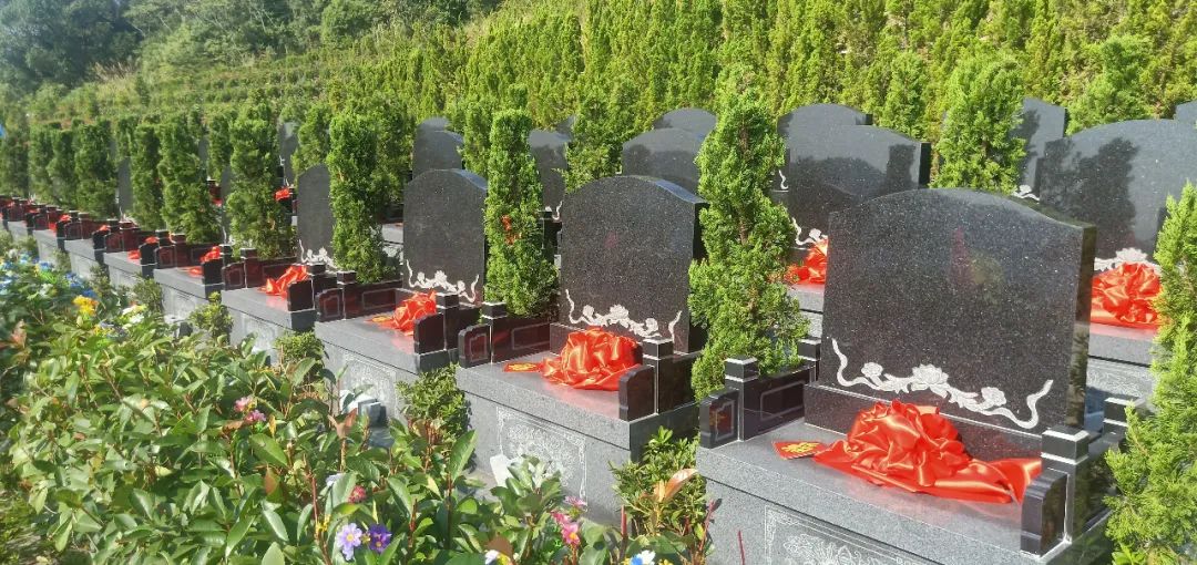 首页-人生就是博