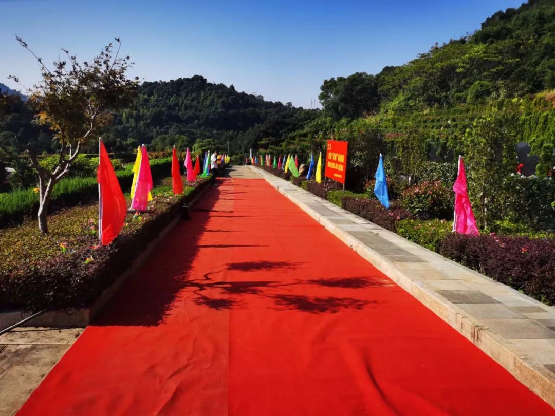 首页-人生就是博