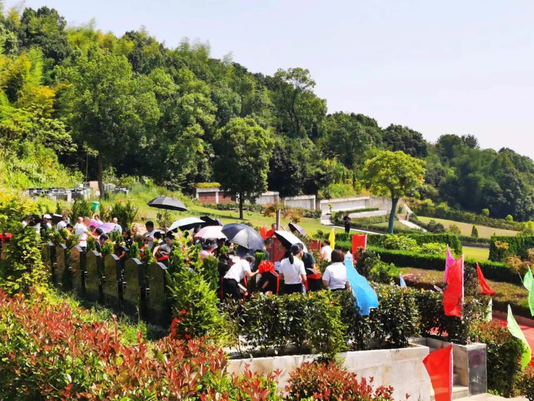 首页-人生就是博