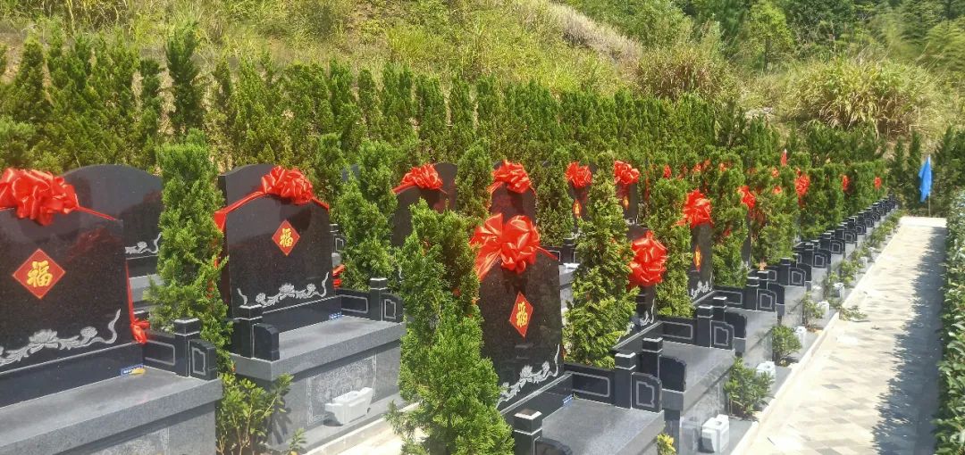 首页-人生就是博