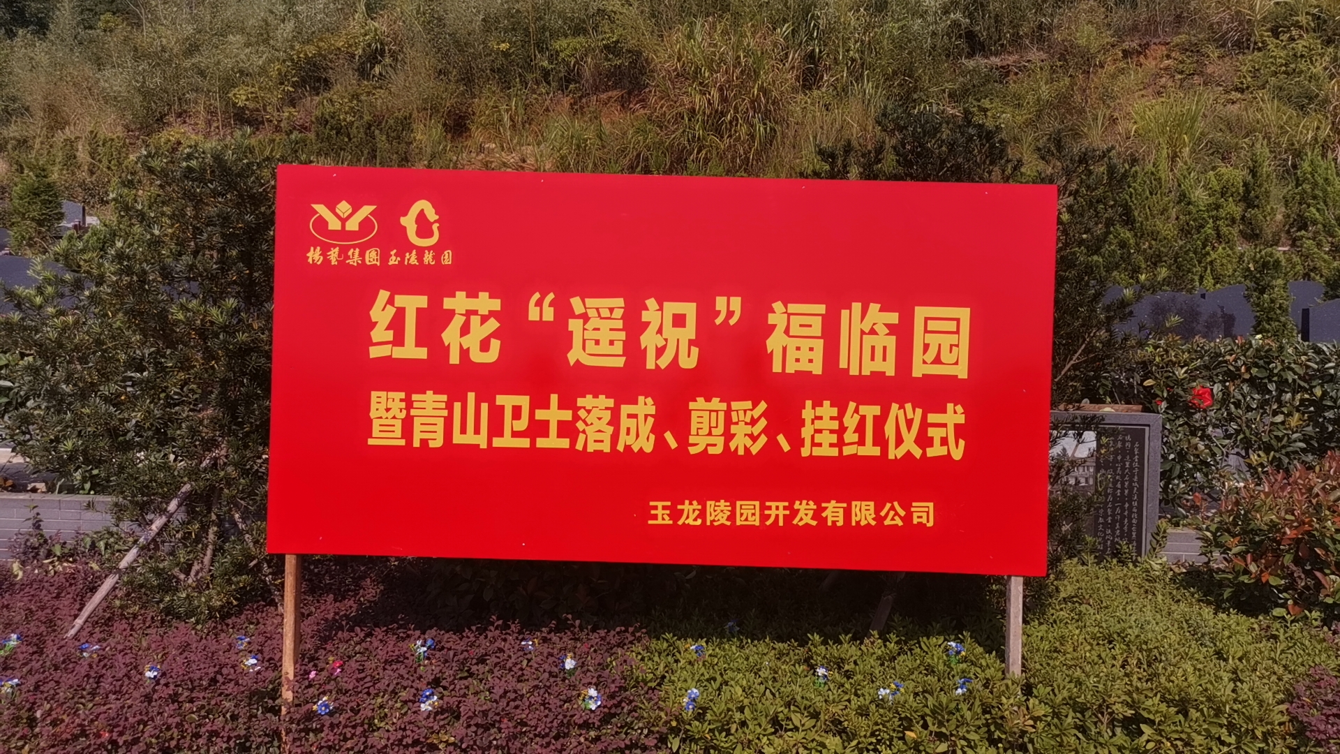 红花传爱意，，，，，，情满玉龙园！