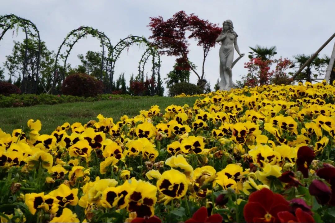 首页-人生就是博