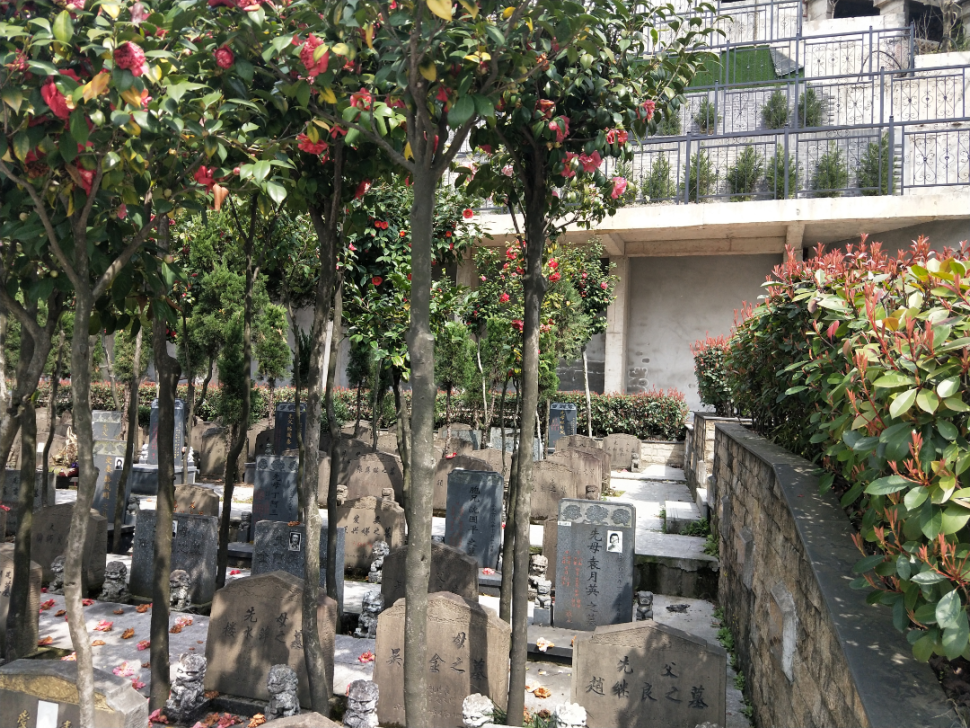 首页-人生就是博