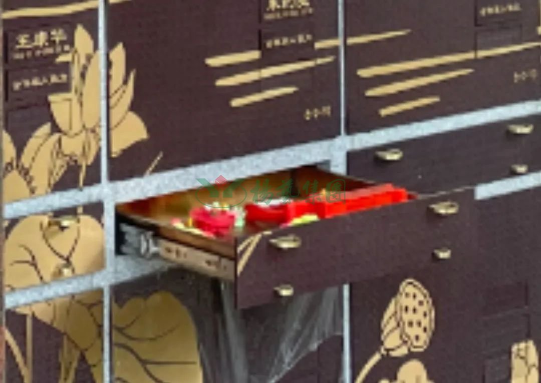 首页-人生就是博