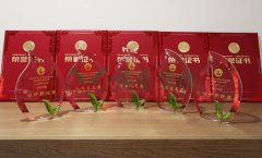 “人生就是博杯”浙江省节地生态埋葬设计作品奖