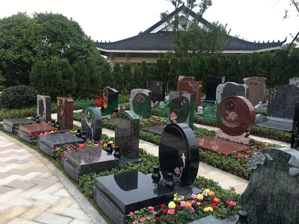 首页-人生就是博