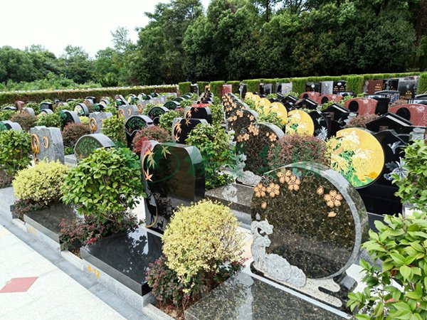 首页-人生就是博