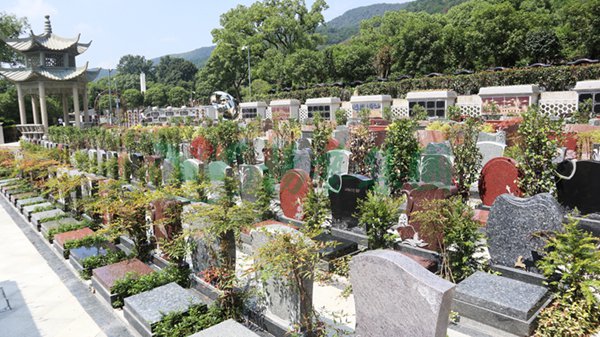 首页-人生就是博