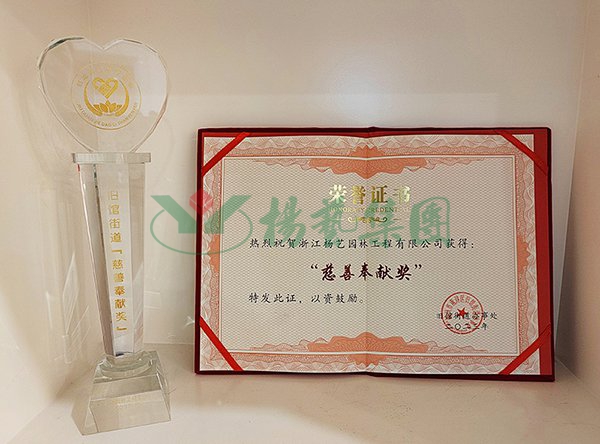 首页-人生就是博