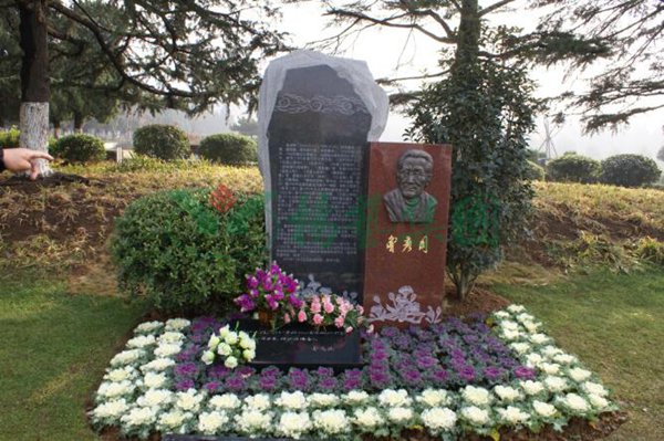 首页-人生就是博