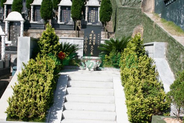 首页-人生就是博