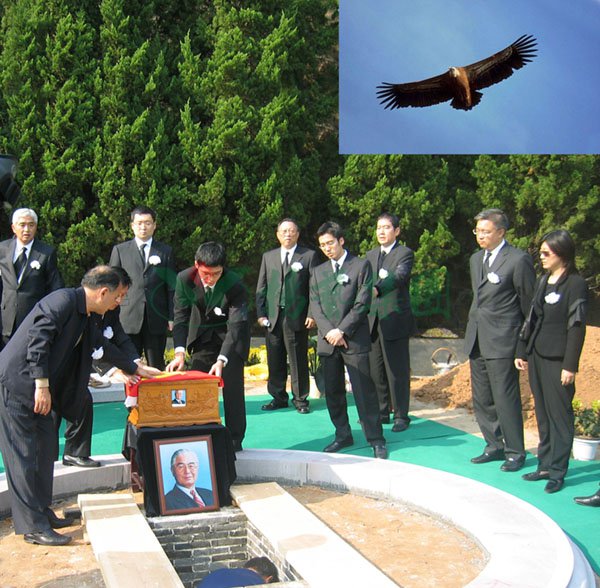 首页-人生就是博