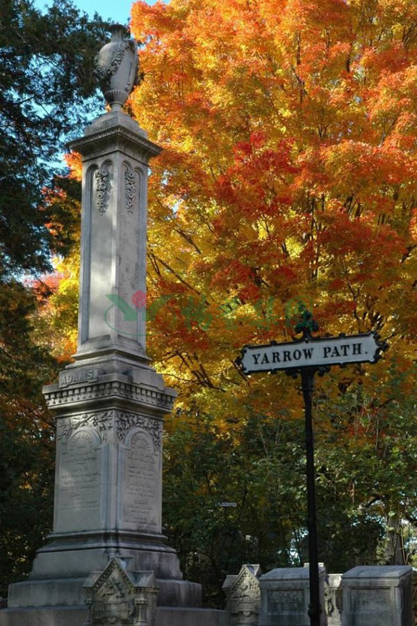 首页-人生就是博