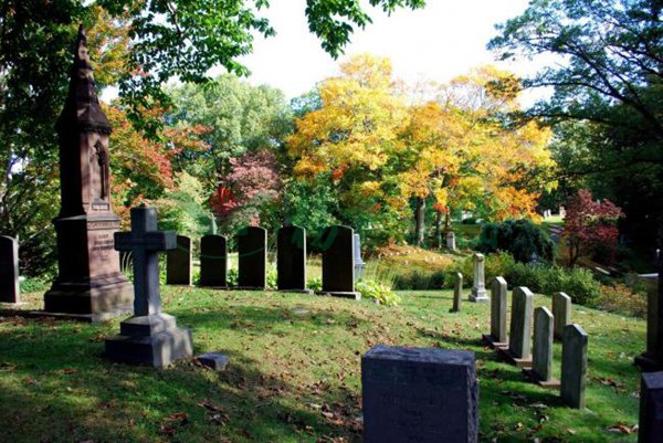 首页-人生就是博