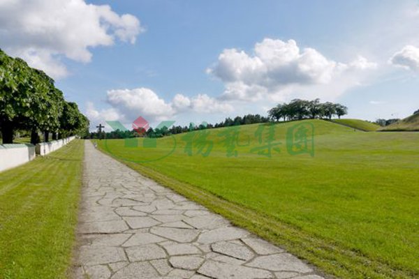 首页-人生就是博