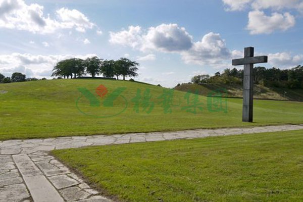 首页-人生就是博