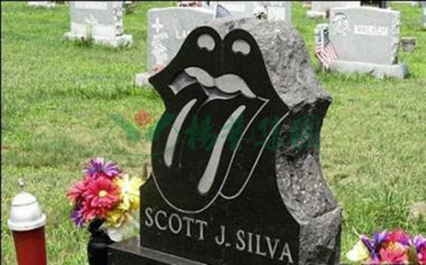 首页-人生就是博