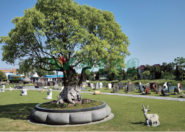 首页-人生就是博