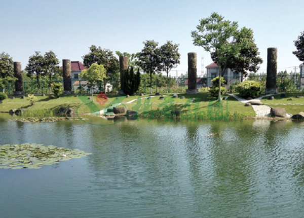 首页-人生就是博