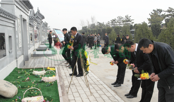 首页-人生就是博