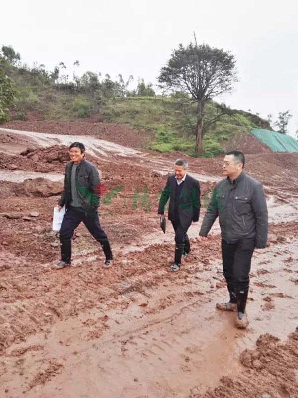 首页-人生就是博