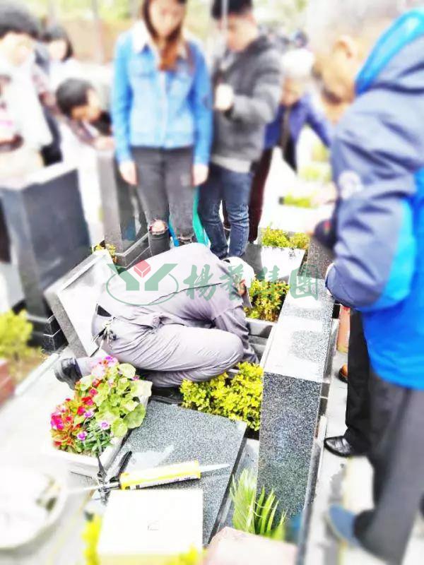 首页-人生就是博