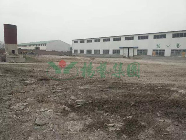 首页-人生就是博